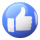 Facebook Icon